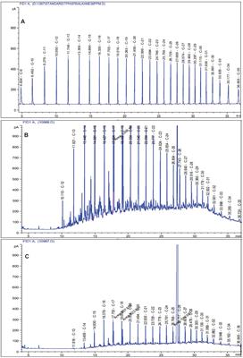 A Combinational Strategy Mitigated Old-Aged Petroleum Contaminants: Ineffectiveness of Biostimulation as a Bioremediation Technique